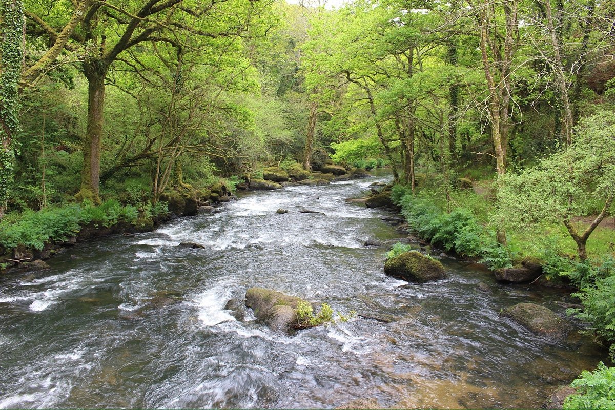 🏞️ 스탕갈라 협곡 (Gorges du Stangala)